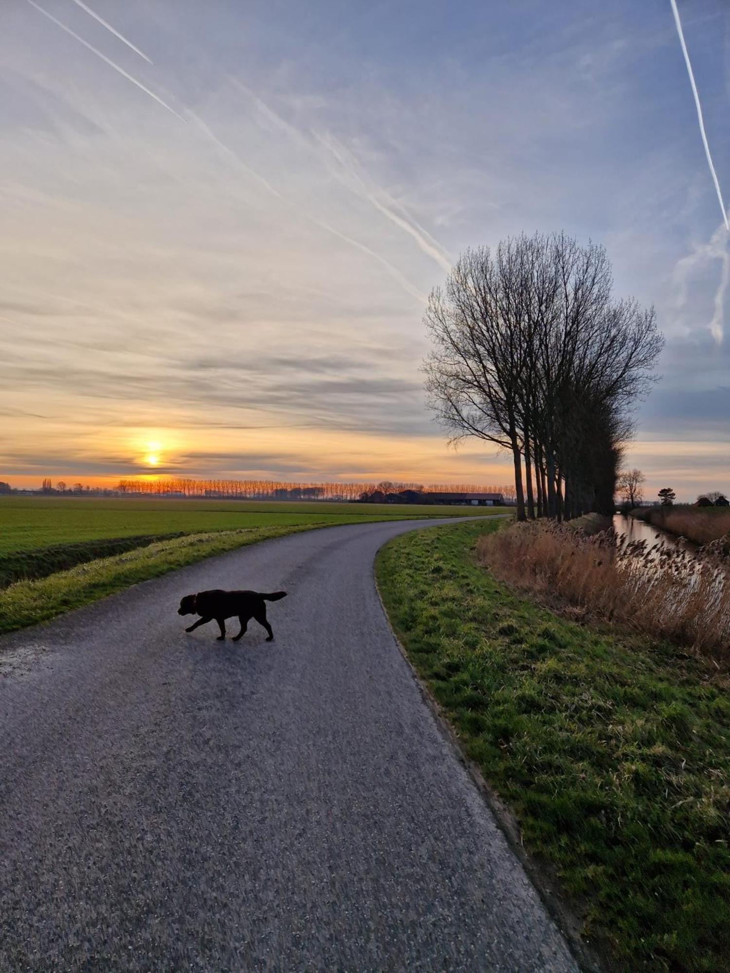 De Bedstee Villa Schoondijke ภายนอก รูปภาพ