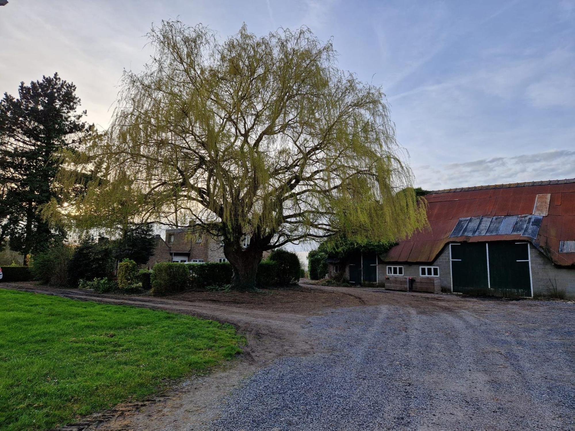 De Bedstee Villa Schoondijke ภายนอก รูปภาพ